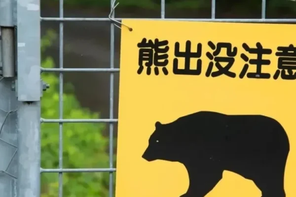 Homem cai em buraco na neve e encontra urso hibernando em montanha no Japão