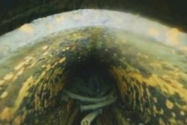 🚨 Buraco em reator de Fukushima reacende alerta global 🚨