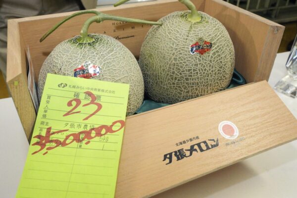 🍈 O Melão Que Vale Uma Fortuna 🍈