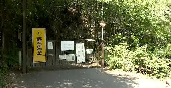 🐻 Metade de um Corpo Encontrada em Floresta de Tóquio 🐻