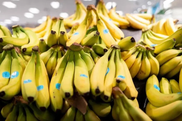 Por que a Banana pode ser o próximo alimento a sentir a crise no Japão