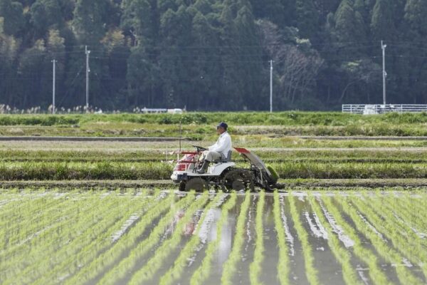 A conta chegou para o agricultor?